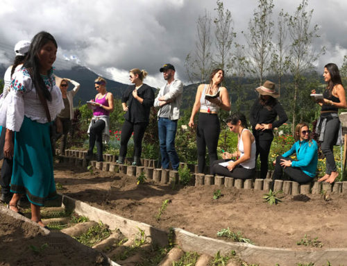 Volunteering in Otavalo PART I